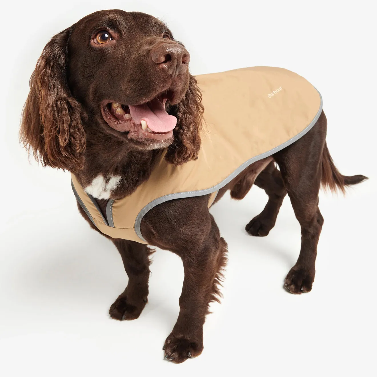 Barbour Monmouth Waterproof Dog Coat Trench